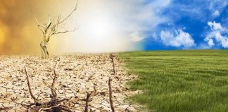 SAG e IICA realizarán seminario internacional sobre Sustentabilidad Agroambiental de Suelos Agropecuarios en América, cambio climático y Objetivos de Desarrollo Sostenible