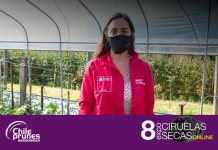 Vuelve EXPO Ciruelas Secas en su 8va versión y con amplia inscripción internacional