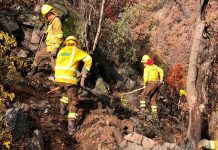 Alerta temprana preventiva en la región Metropolitana por altas temperaturas