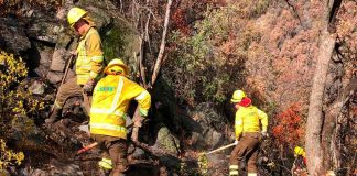 Alerta temprana preventiva en la región Metropolitana por altas temperaturas