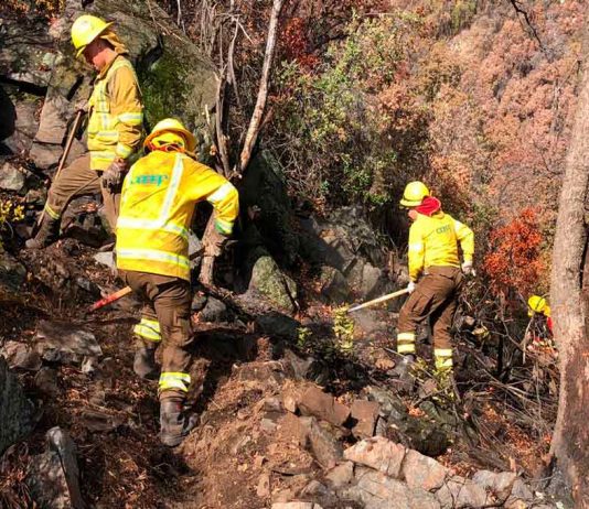 Alerta temprana preventiva en la región Metropolitana por altas temperaturas