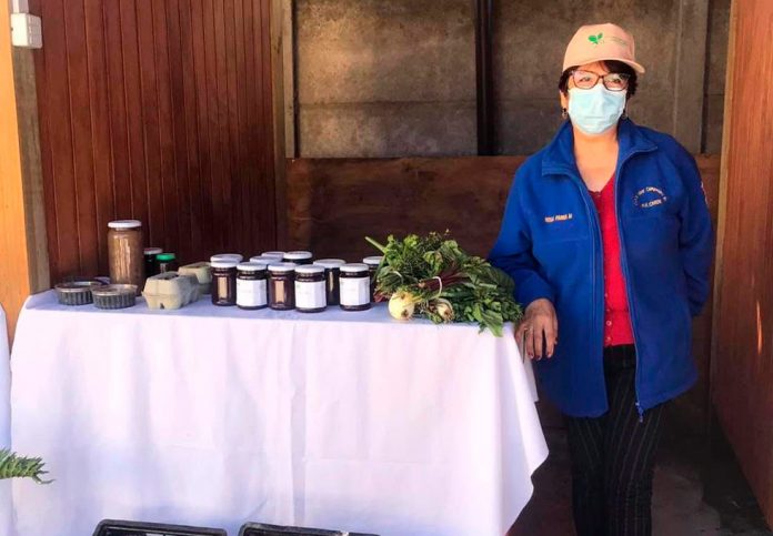 Comité Sabor Campesino de Mulchén lanza web con apoyo de Indap