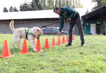 Lucky se acoge a retiro y Cooper se suma a la BRICAN SAG