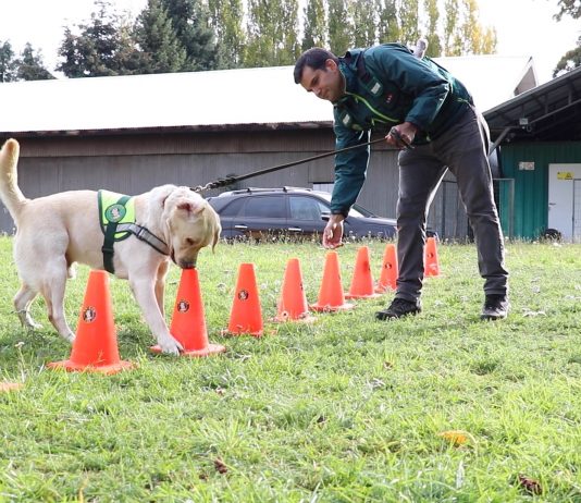 Lucky se acoge a retiro y Cooper se suma a la BRICAN SAG