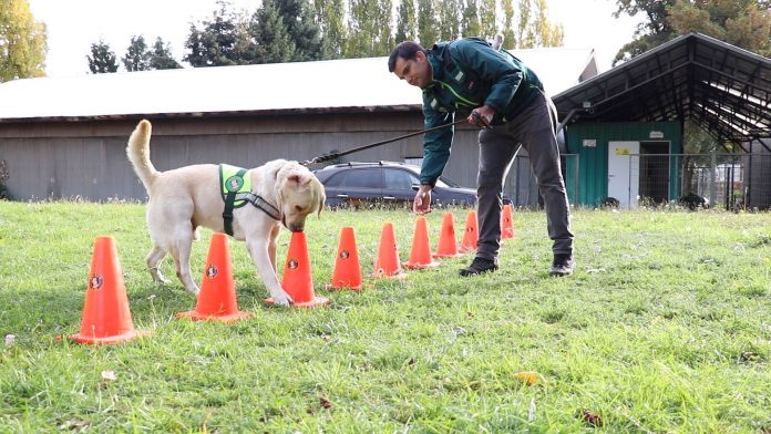 Lucky se acoge a retiro y Cooper se suma a la BRICAN SAG