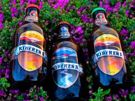 Cuatro emprendedores de Atacama enfrentan la pandemia con delivery a todo Chile 