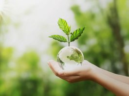 Experto de Agronomía UdeC plantea los principales desafíos para un planeta sano