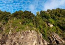 Fundación Tierra Austral logra el primer acuerdo corporativo para la conservación de tierras en Chile