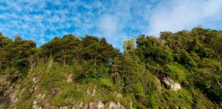 Fundación Tierra Austral logra el primer acuerdo corporativo para la conservación de tierras en Chile