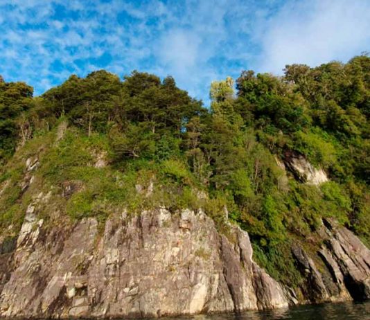 Fundación Tierra Austral logra el primer acuerdo corporativo para la conservación de tierras en Chile