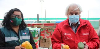 SAG intercepta más de 32 toneladas de productos agrícolas en la Región de Arica y Parinacota