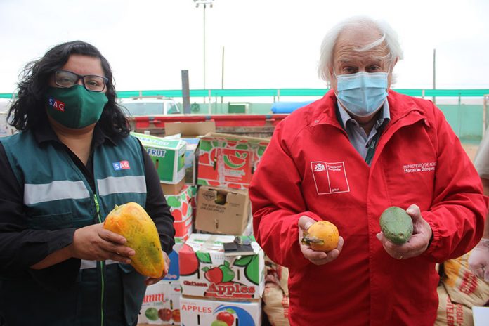 SAG intercepta más de 32 toneladas de productos agrícolas en la Región de Arica y Parinacota