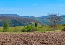 Indap Biobío llama a productores a postular a concurso para mejorar suelos agrícolas 