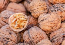 Maulina innova y crea maquinaria para optimizar producción de nueces exportables