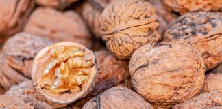 Maulina innova y crea maquinaria para optimizar producción de nueces exportables