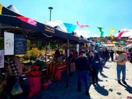 Mercado Campesino funciona por primera vez en Putre