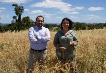 Patagon Fiber y ULagos desarrollan innovador biomaterial que revolucionará la industria textil