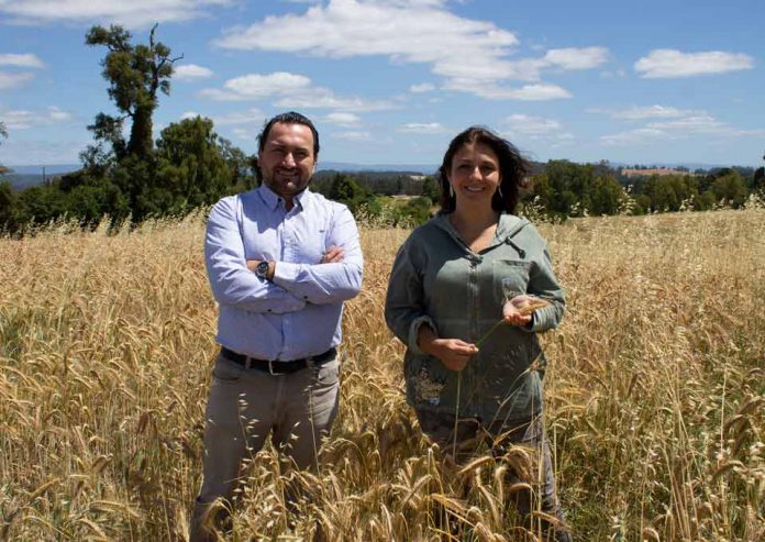 Patagon Fiber y ULagos desarrollan innovador biomaterial que revolucionará la industria textil