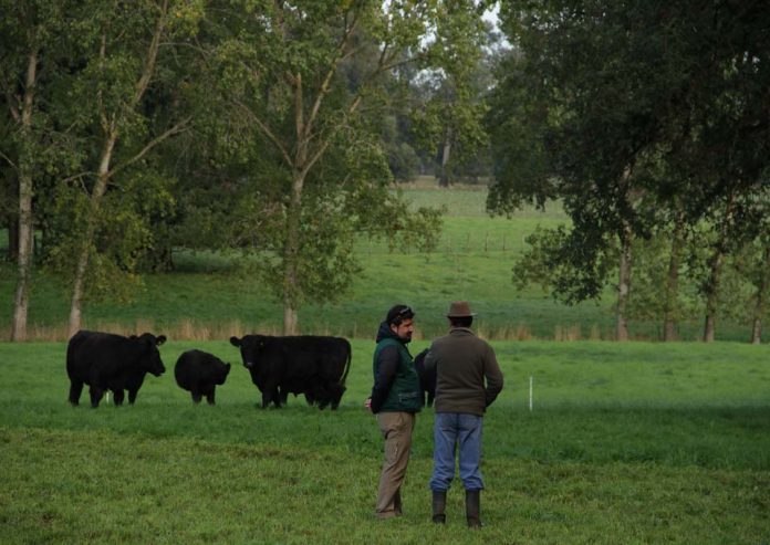 SAG asigna 1.120 millones de pesos a agricultores de la región para mejorar suelos de uso agropecuario