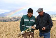 SAG implementa plan de capacitación dirigido a la Agricultura Familiar Campesina