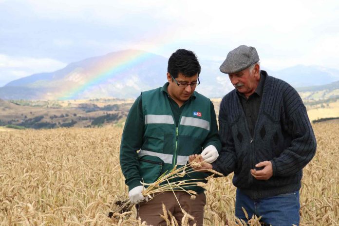 SAG implementa plan de capacitación dirigido a la Agricultura Familiar Campesina
