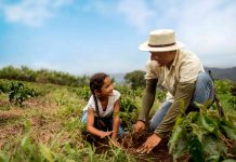 Semillero de Futuro extiende la fecha de presentación de proyectos hasta el 30 de abril