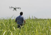 Abren postulaciones para “Agro del Futuro” 