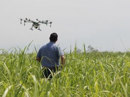 Abren postulaciones para “Agro del Futuro” 