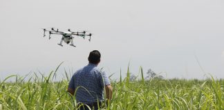 Abren postulaciones para “Agro del Futuro” 