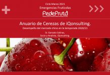 VIDEO: Charla "Emergencias Frutícolas - Marzo 2021 - Anuario de Cerezas iQonsulting, desempeño del mercado chino en la temporada 2021"