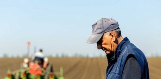 Con herramientas digitales extensionistas de INIA La Platina continúan capacitando a los agricultores de la región Metropolitana