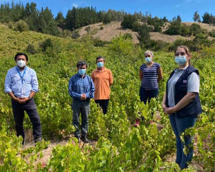 Indap Biobío llama a organizaciones campesinas a postular sus proyectos al programa PROGYSO