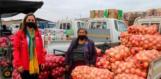 Ministra Undurraga visitó mercado agrícola en Arica y Parinacota: “Esto es la seguridad alimentaria, el poder conectar tanto lo que se produce en el país como lo que se importa”