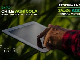 FUCOA anuncia fechas de Expo Chile Agrícola 2021, el encuentro de capacitación más grande del país El evento del Ministerio de Agricultura este año contará con tres jornadas de seminarios, charlas, talleres y otras actividades virtuales totalmente gratuitas, enfocadas especialmente en la pequeña agricultura. En su versión anterior, el encuentro tuvo más de 62 mil participantes online a través de su sitio web www.expochileagricola.cl Santiago, 23 de abril de 2021.- La versión 2021 de Expo Chile Agrícola del Ministerio de Agricultura, el encuentro de capacitación más grande de Chile, se realizará los días 24, 25 y 26 de agosto de forma virtual a través del sitio web www.expochileagricola.cl. Así lo anunció la Ministra de Agricultura, María Emilia Undurraga, quien destacó que en su cuarto año consecutivo, el evento, organizado por la Fundación de Comunicaciones, Capacitación y Cultura del Agro (FUCOA), en el que participan los 12 servicios del agro, organismos internacionales, entidades académicas y otras instituciones relacionadas con el sector, se ha posicionado como el principal punto de encuentro público-privado en torno a la capacitación e información sobre los principales temas de interés del agro, con especial foco en la pequeña agricultura. “Expo Chile Agrícola este año nos permitirá reunirnos durante tres jornadas para dialogar y entregar capacitación a los agricultores y agricultoras, no solo acerca del quehacer del Ministerio de Agricultura y sus servicios, sino que de los últimos avances del sector público y privado para dar respuesta a las necesidades centrales de la agricultura, especialmente en el contexto de cambio climático y pandemia”, señaló la autoridad del agro. La Directora Ejecutiva de FUCOA, Francisca Martin, agregó que tal como ocurrió en 2020 debido a la pandemia, este año el evento se realizará de forma virtual y totalmente gratuita, permitiendo a agricultores, agricultoras y a toda la comunidad participar en sus actividades desde cualquier punto del país. “A través de www.expochileagricola.cl, los asistentes podrán acceder a capacitación a través de cientos de talleres, charlas y seminarios, así como un recorrido virtual por stands, señal en vivo y otros contenidos. Los invitamos desde ya a reservar las fechas en sus agendas y participar en este gran encuentro del agro”, indicó Martin. Cabe destacar que en su última versión, Expo Chile Agrícola contó con más de 62 mil asistentes en sus más de 130 actividades de capacitación, realizadas durante dos jornadas. Asimismo, tuvo más de 17.500 espectadores en su señal en vivo y 13.700 visitas al sector virtual de stands, en un evento que reunió a 78 instituciones y empresas del sector agrícola. Más novedades de Expo Chile Agrícola 2021, así como actividades disponibles e información del proceso de inscripción, serán publicadas próximamente en www.expochileagricola.cl.