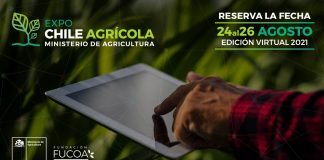 FUCOA anuncia fechas de Expo Chile Agrícola 2021, el encuentro de capacitación más grande del país El evento del Ministerio de Agricultura este año contará con tres jornadas de seminarios, charlas, talleres y otras actividades virtuales totalmente gratuitas, enfocadas especialmente en la pequeña agricultura. En su versión anterior, el encuentro tuvo más de 62 mil participantes online a través de su sitio web www.expochileagricola.cl Santiago, 23 de abril de 2021.- La versión 2021 de Expo Chile Agrícola del Ministerio de Agricultura, el encuentro de capacitación más grande de Chile, se realizará los días 24, 25 y 26 de agosto de forma virtual a través del sitio web www.expochileagricola.cl. Así lo anunció la Ministra de Agricultura, María Emilia Undurraga, quien destacó que en su cuarto año consecutivo, el evento, organizado por la Fundación de Comunicaciones, Capacitación y Cultura del Agro (FUCOA), en el que participan los 12 servicios del agro, organismos internacionales, entidades académicas y otras instituciones relacionadas con el sector, se ha posicionado como el principal punto de encuentro público-privado en torno a la capacitación e información sobre los principales temas de interés del agro, con especial foco en la pequeña agricultura. “Expo Chile Agrícola este año nos permitirá reunirnos durante tres jornadas para dialogar y entregar capacitación a los agricultores y agricultoras, no solo acerca del quehacer del Ministerio de Agricultura y sus servicios, sino que de los últimos avances del sector público y privado para dar respuesta a las necesidades centrales de la agricultura, especialmente en el contexto de cambio climático y pandemia”, señaló la autoridad del agro. La Directora Ejecutiva de FUCOA, Francisca Martin, agregó que tal como ocurrió en 2020 debido a la pandemia, este año el evento se realizará de forma virtual y totalmente gratuita, permitiendo a agricultores, agricultoras y a toda la comunidad participar en sus actividades desde cualquier punto del país. “A través de www.expochileagricola.cl, los asistentes podrán acceder a capacitación a través de cientos de talleres, charlas y seminarios, así como un recorrido virtual por stands, señal en vivo y otros contenidos. Los invitamos desde ya a reservar las fechas en sus agendas y participar en este gran encuentro del agro”, indicó Martin. Cabe destacar que en su última versión, Expo Chile Agrícola contó con más de 62 mil asistentes en sus más de 130 actividades de capacitación, realizadas durante dos jornadas. Asimismo, tuvo más de 17.500 espectadores en su señal en vivo y 13.700 visitas al sector virtual de stands, en un evento que reunió a 78 instituciones y empresas del sector agrícola. Más novedades de Expo Chile Agrícola 2021, así como actividades disponibles e información del proceso de inscripción, serán publicadas próximamente en www.expochileagricola.cl.