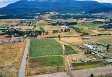 SAG, INIA y Liceo Bicentenario Agrícola de la Patagonia realizaron ensayo de variedades de papa