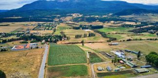 SAG, INIA y Liceo Bicentenario Agrícola de la Patagonia realizaron ensayo de variedades de papa