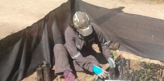 Trabajadores (as) del Programa de Emergencia de Empleo de CONAF región Metropolitana