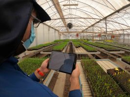 Arica y Parinacota avanza hacia una agricultura más sustentable y tecnológica