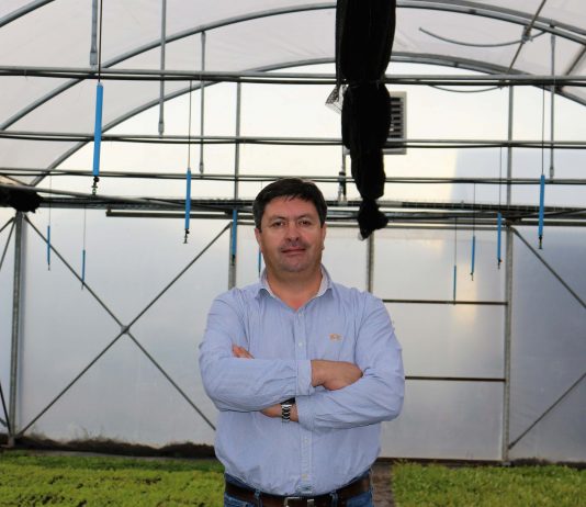 Asamblea de socios de viveros de Chile AGV ratifica a Cristian Pichuante como presidente de su directorio hasta 2023