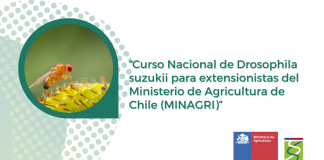 Ministra Undurraga inauguró curso nacional de Drosophila suzukii para funcionarios Minagri