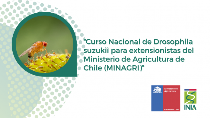 Ministra Undurraga inauguró curso nacional de Drosophila suzukii para funcionarios Minagri