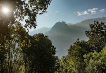 Día de la Diversidad Biológica: Los desafíos de la conservación de tierras en Chile