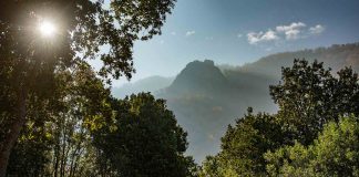 Día de la Diversidad Biológica: Los desafíos de la conservación de tierras en Chile