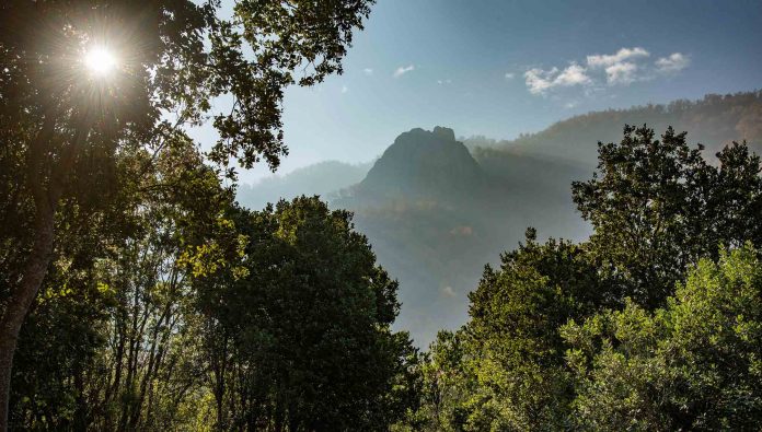 Día de la Diversidad Biológica: Los desafíos de la conservación de tierras en Chile