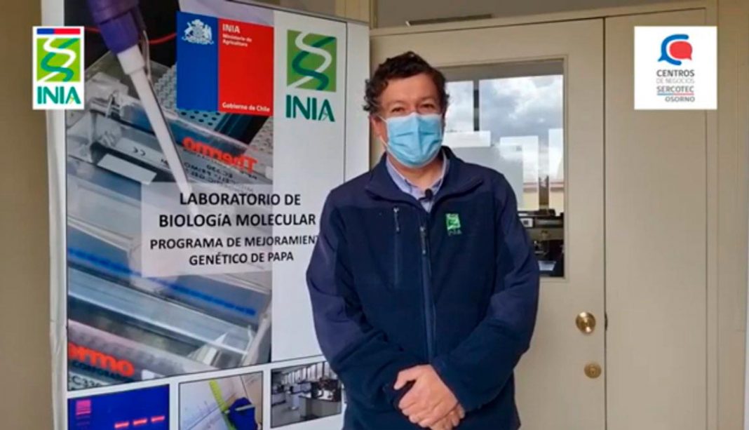 Doctor Manuel Muñoz destaca el impacto de las variedades de papa del INIA