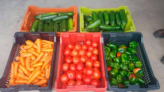 El “Amazon” de frutas y verduras se consolida como una startup de triple impacto