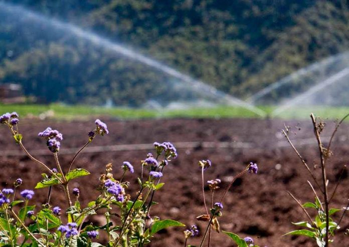 Especialistas en riego de INIA La Platina fomentan colaboración entre Chile y Perú