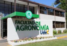 Agronomía UdeC trabaja en tecnologías de protección vegetal integrada para una agricultura sustentable