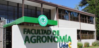 Agronomía UdeC trabaja en tecnologías de protección vegetal integrada para una agricultura sustentable